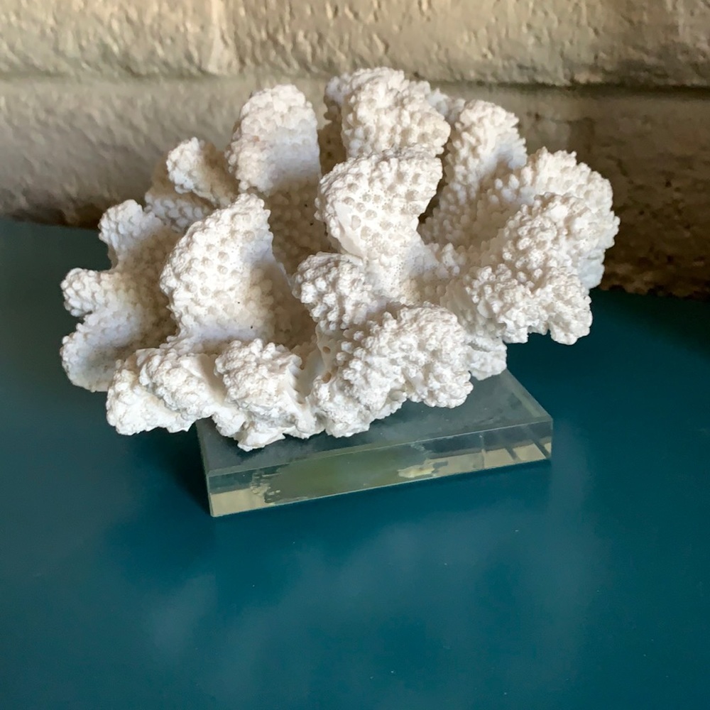 Coral